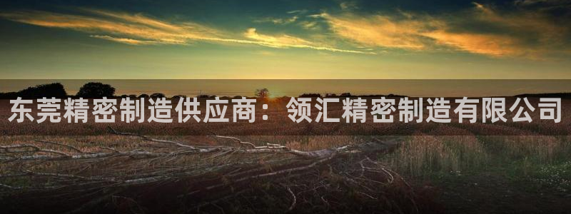 彩神是正规平台吗安全吗：东莞精密制造供应商：领汇精密制造有限公司