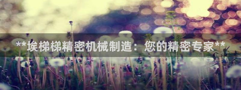 彩神v8客户端：**埃梯梯精密机械制造：您的精密专家**