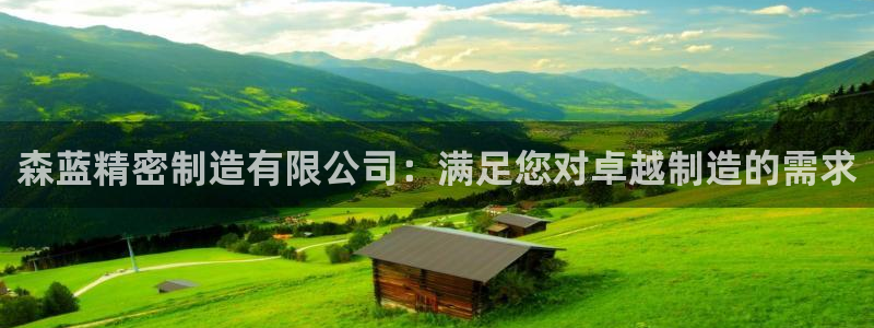 彩神v8是一个什么平台啊：森蓝精密制造有限公司：满足您对卓越制造的需求