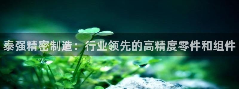 彩神ix可靠吗：泰强精密制造：行业领先的高精度零件和组件