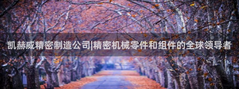 彩神大发云：凯赫威精密制造公司|精密机械零件和组件的全球领导者