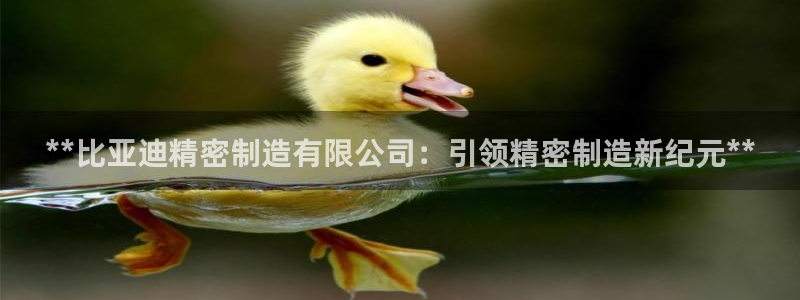 彩神大发cp：**比亚迪精密制造有限公司：引领精密制造新纪元**