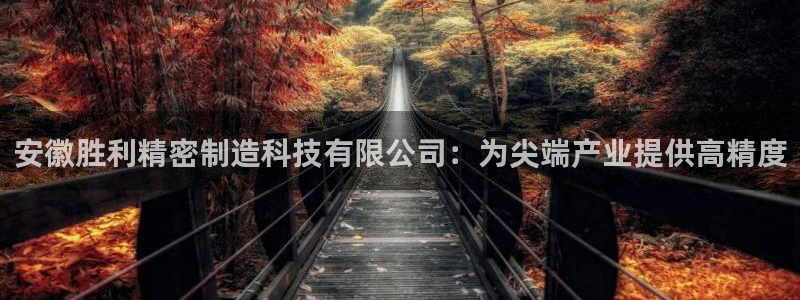 彩神8购彩-购彩大厅：安徽胜利精密制造科技有限公司：为尖端产业提供高精度