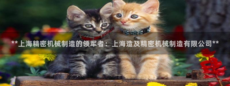 彩神团队是真的吗：**上海精密机械制造的领军者：上海造及精密机械制造有限公司**
