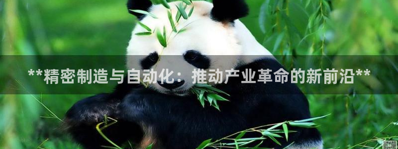 彩神赢钱了吗：**精密制造与自动化：推动产业革命的新前沿**