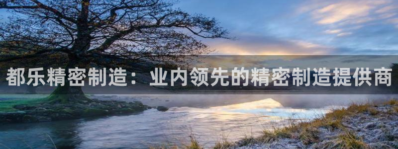 彩神8是正规平台吗是正品吗：都乐精密制造：业内领先的精密制造提供商