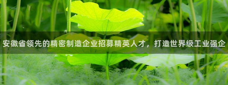 彩神ii官方网：安徽省领先的精密制造企业招募精英人才，打造世界级工业强企