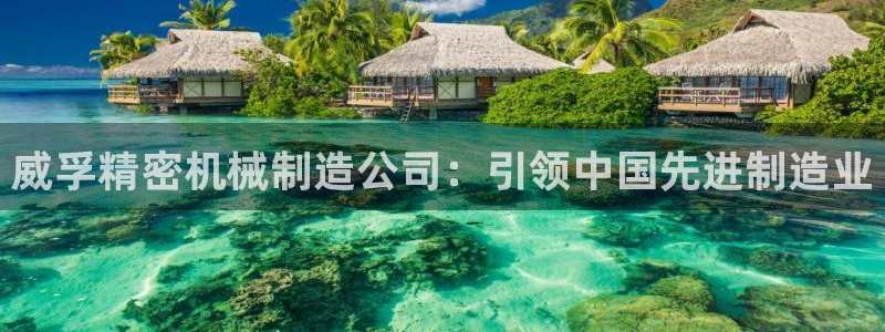 彩神数码科技有限公司：威孚精密机械制造公司：引领中国先进制造业