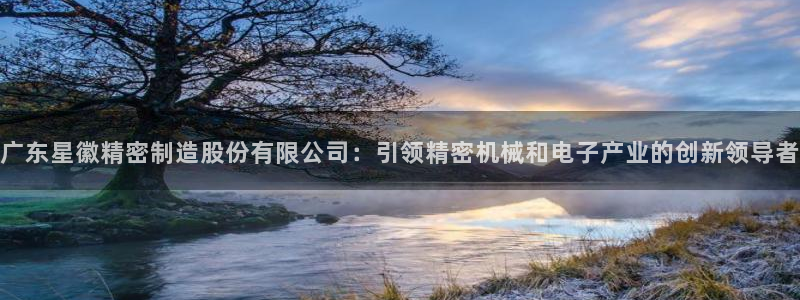 彩神赢的钱是哪里来的啊：广东星徽精密制造股份有限公司：引领精密机械和电子产业的创新领导者