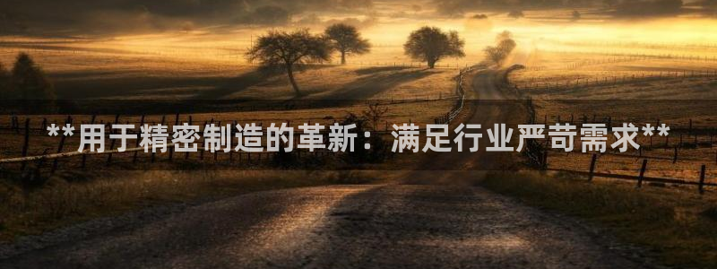 彩神v集团有限公司：**用于精密制造的革新：满足行业严苛需求**