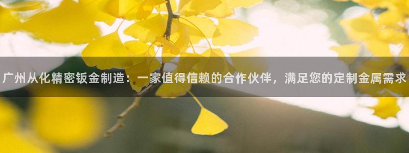 彩神V8有限公司：广州从化精密钣金制造：一家值得信赖的合作伙伴，满足您的定制金属需求