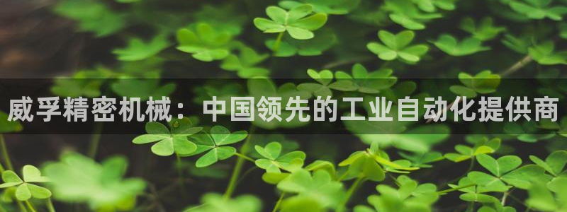 彩神v8是真的挣钱吗：威孚精密机械：中国领先的工业自动化提供商