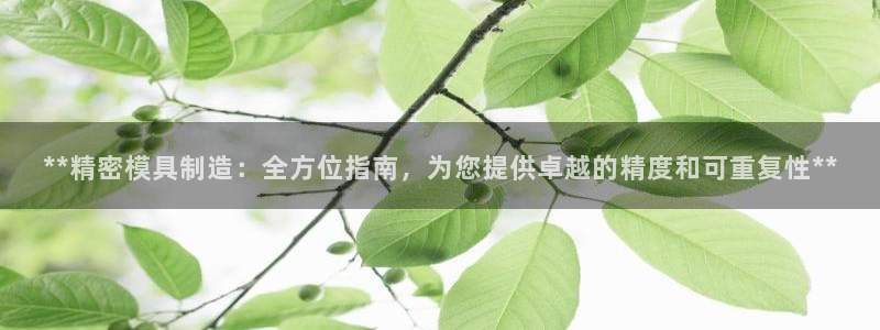 彩神v8平台正规吗可靠吗：**精密模具制造：全方位指南，为您提供卓越的精度和可重复性**