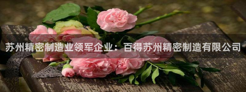 彩神vlll(中国)百度百科：苏州精密制造业领军企业：百得苏州精密制造有限公司