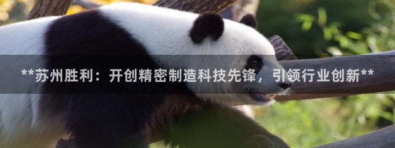 彩神正规吗：**苏州胜利：开创精密制造科技先锋，引领行业创新**