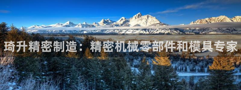 彩神8官网500：琦升精密制造：精密机械零部件和模具专家