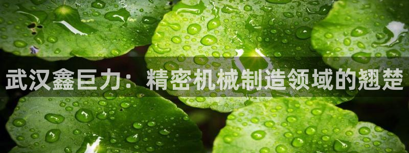 彩神的邀请码是多少：武汉鑫巨力：精密机械制造领域的翘楚