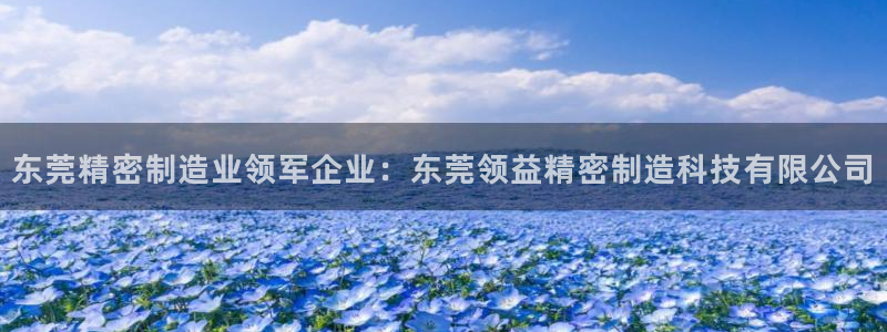 彩神ios下载：东莞精密制造业领军企业：东莞领益精密制造科技有限公司
