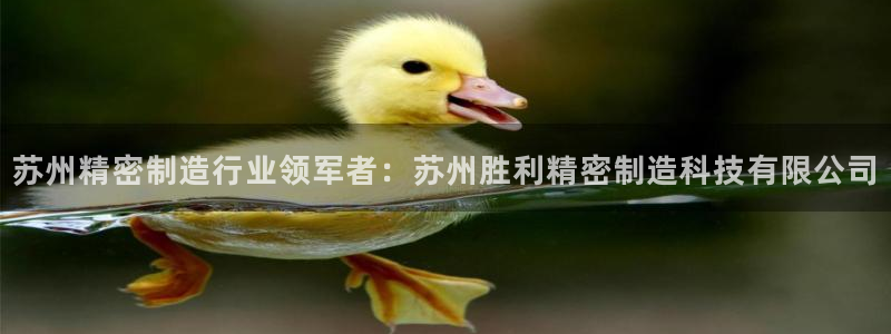 彩神新微聊：苏州精密制造行业领军者：苏州胜利精密制造科技有限公司