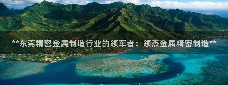 彩神平台可以破解吗：**东莞精密金属制造行业的领军者：领杰金属精密制造**