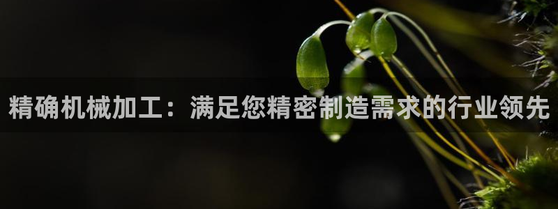 彩神v8手机客户端：精确机械加工：满足您精密制造需求的行业领先