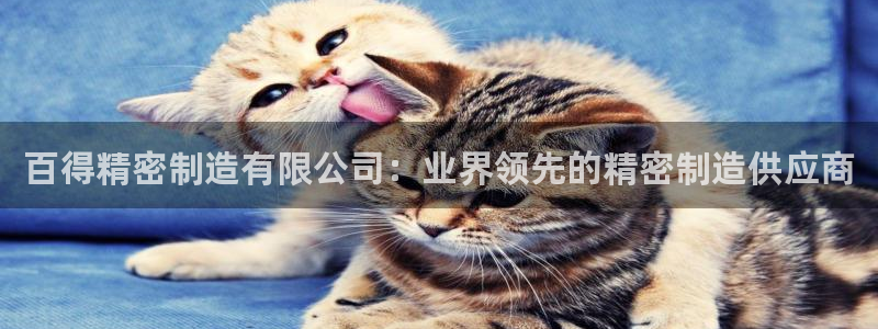 彩神VI首页：百得精密制造有限公司：业界领先的精密制造供应商