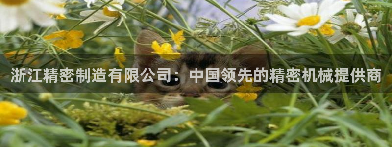 新版彩神v8登录教程：浙江精密制造有限公司：中国领先的精密机械提供商