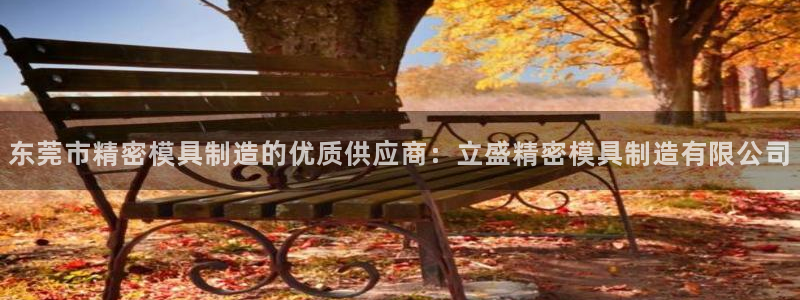 彩神vip购彩大厅在哪：东莞市精密模具制造的优质供应商：立盛精密模具制造有限公司