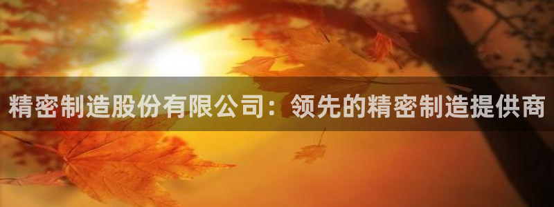 彩神购彩-购彩大厅入口：精密制造股份有限公司：领先的精密制造提供商