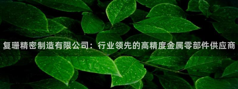 新版彩神v8登录教程：复珊精密制造有限公司：行业领先的高精度金属零部件供应商
