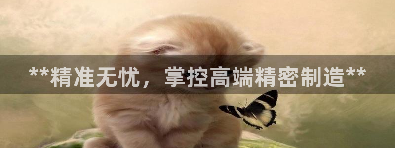 下载彩神v8：**精准无忧，掌控高端精密制造**
