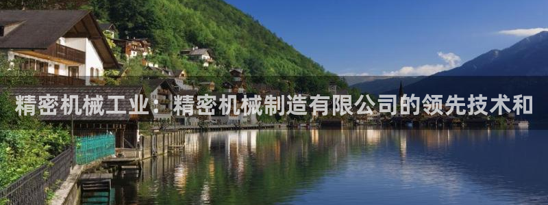 下载彩神乐发V1：精密机械工业：精密机械制造有限公司的领先技术和