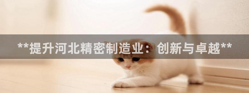 彩神v8下载网址：**提升河北精密制造业：创新与卓越**