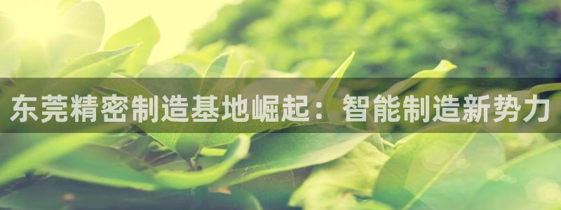 彩神ix可靠吗：东莞精密制造基地崛起：智能制造新势力