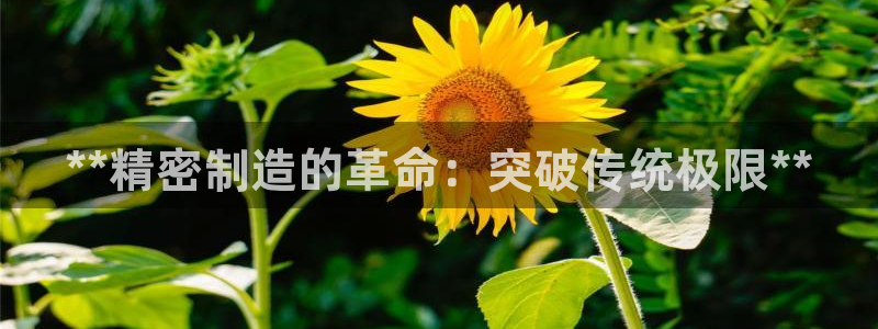 彩神购彩购彩大厅入口v：**精密制造的革命：突破传统极限**