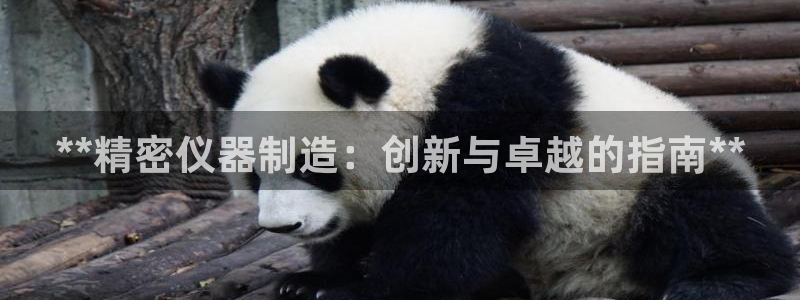 彩神vll首页：**精密仪器制造：创新与卓越的指南**