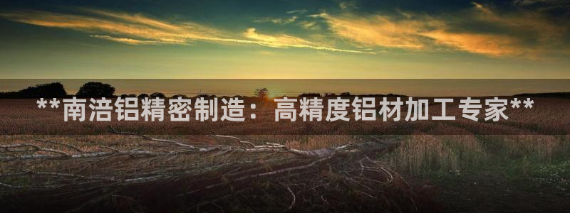 彩神v1破解器：**南涪铝精密制造：高精度铝材加工专家**
