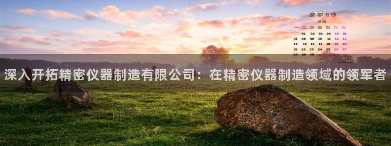彩神的邀请码是多少：深入开拓精密仪器制造有限公司：在精密仪器制造领域的领军者