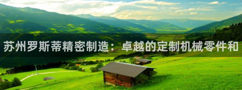 彩神是什么平台：苏州罗斯蒂精密制造：卓越的定制机械零件和