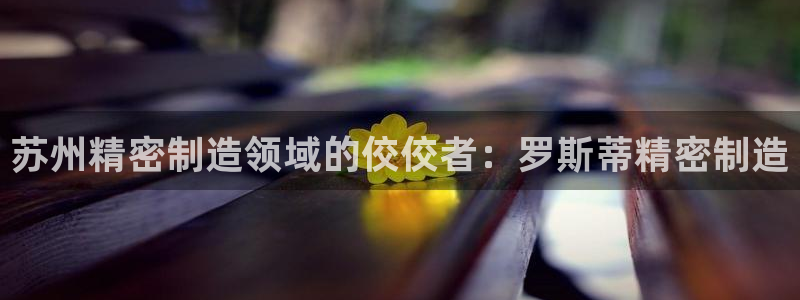 天天赢彩神：苏州精密制造领域的佼佼者：罗斯蒂精密制造
