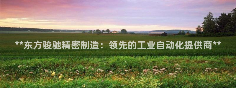 彩神vii购彩l心：**东方骏驰精密制造：领先的工业自动化提供商**