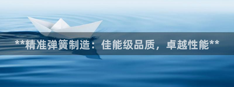 彩神iv能赚钱吗：**精准弹簧制造：佳能级品质，卓越性能**