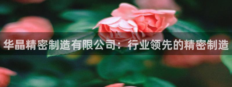 彩神vlll游戏特色：华晶精密制造有限公司：行业领先的精密制造