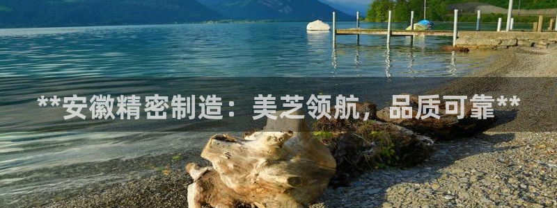 彩神购彩-购彩大厅入口500：**安徽精密制造：美芝领航，品质可靠**