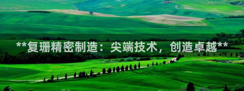 彩神v集团有限公司：**复珊精密制造：尖端技术，创造卓越**