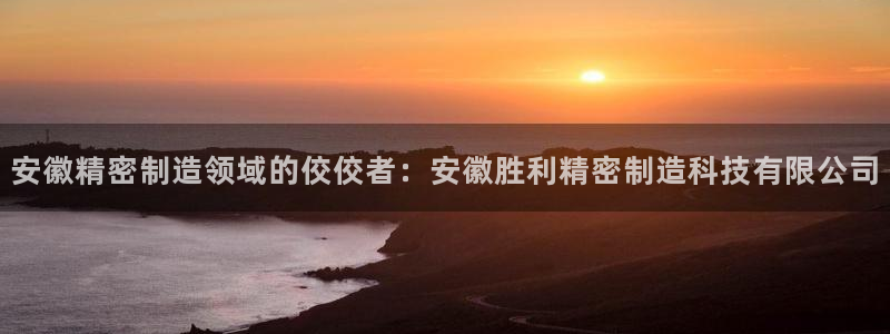 彩神v8客户端：安徽精密制造领域的佼佼者：安徽胜利精密制造科技有限公司