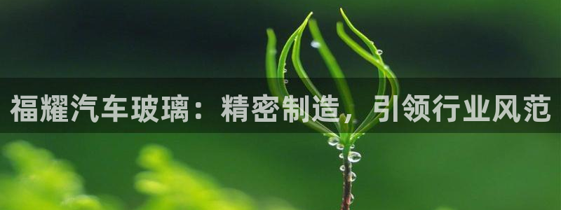 彩神v8客户端：福耀汽车玻璃：精密制造，引领行业风范