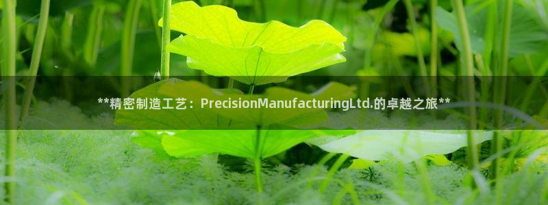 新版彩神v8登录教程：**精密制造工艺：PrecisionManufacturingLtd.的卓越之旅**
