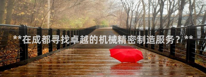 彩神V8有限公司：**在成都寻找卓越的机械精密制造服务？**