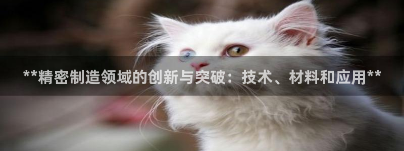 彩神是怎样一个平台赚钱的：**精密制造领域的创新与突破：技术、材料和应用**